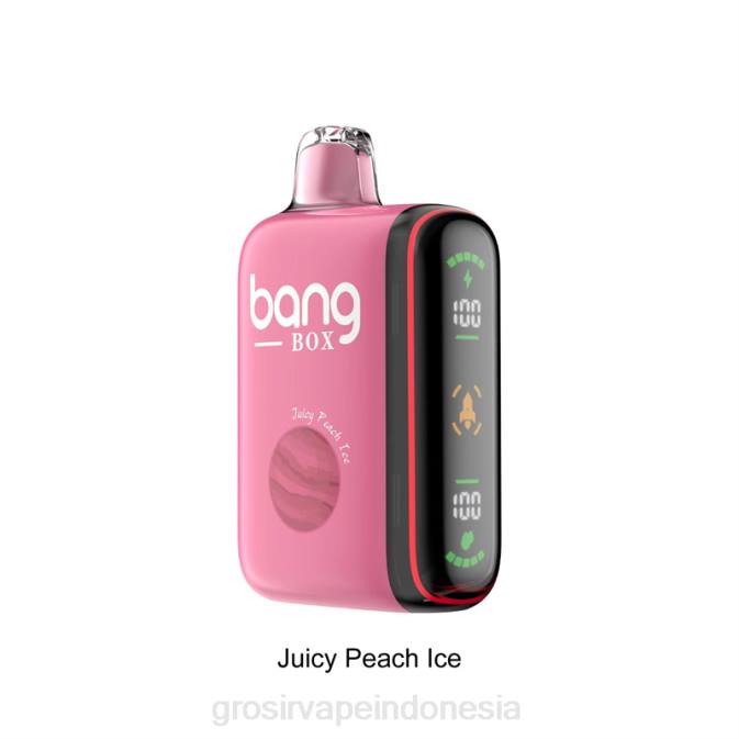 Bang Box Tampilan daya cerdas 9000-18000 tiupan es buah persik yang berair NHDX29 Vape Indonesia Bandung