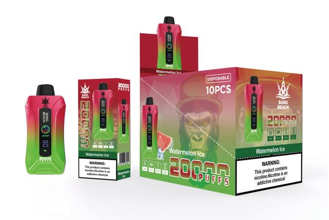 Bang Beach 20.000 isapan vape layar pintar es semangka NHDX7 Grosir Liquid Vape