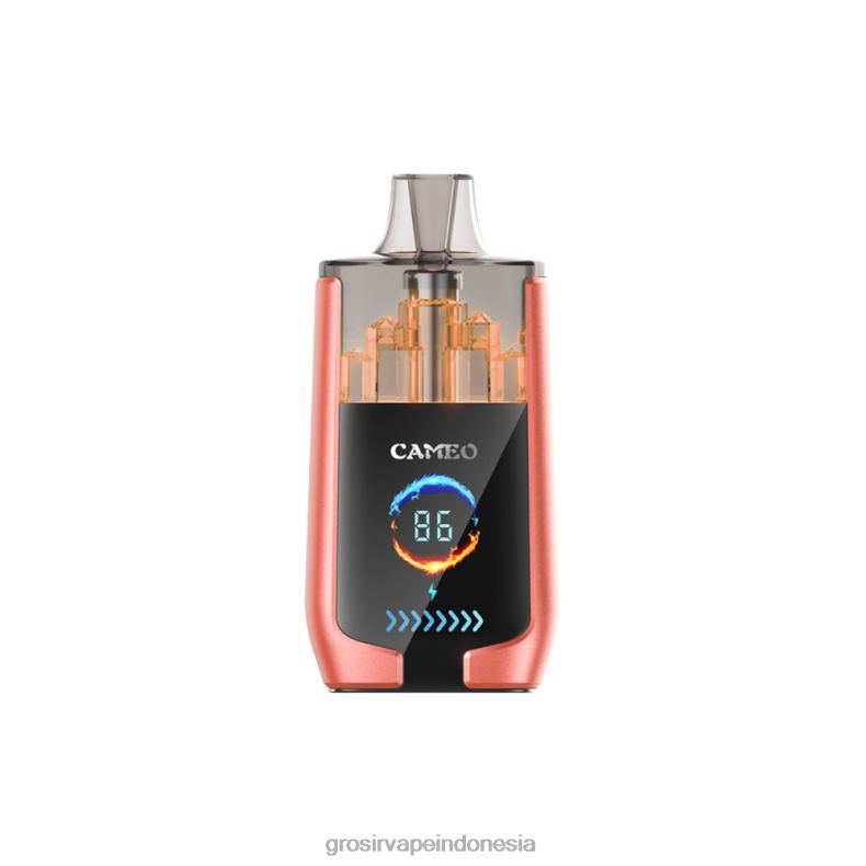 Grosir Vape Medan 228H824 LAVIE CAMEO 30.000 isapan semangka stroberi