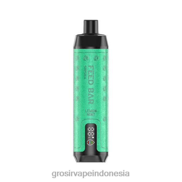 Grosir Vape Indonesia J22J2101 Vapsolo SHISHA vape sekali pakai lemon mint
