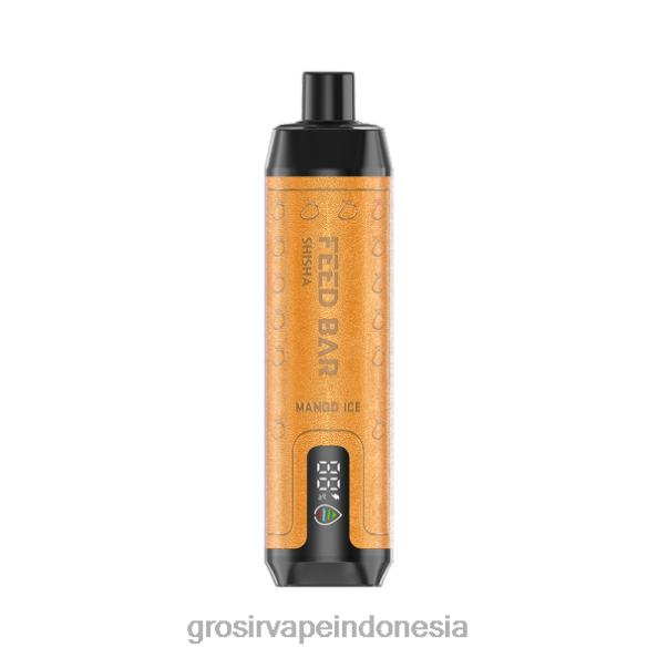 Grosir Vape Store J22J2103 Vapsolo SHISHA vape sekali pakai es mangga