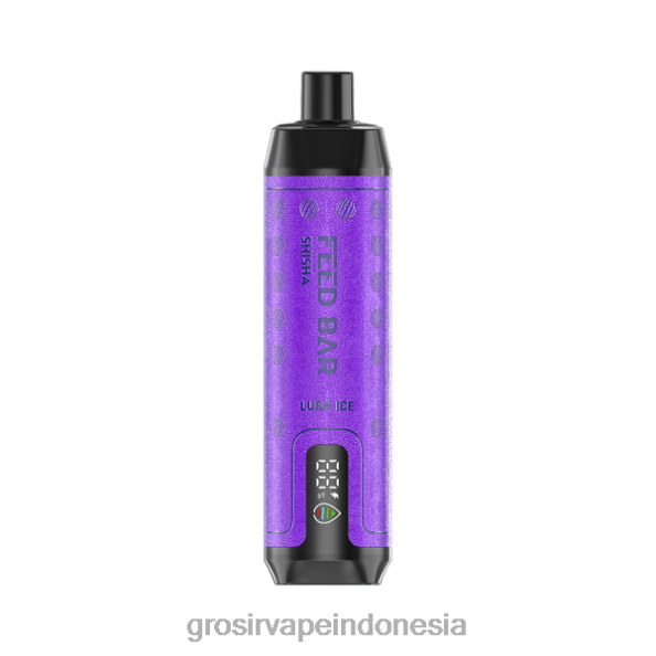 Grosir Vape Termurah J22J2102 Vapsolo SHISHA vape sekali pakai es yang subur