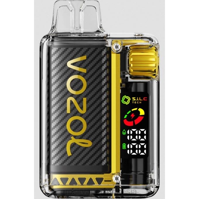 grosir vape sidoarjo | 0LVV8 ceri pisang buah naga VOZOL VISTA 16000/20000 5%